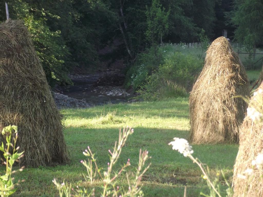 Cabana Piatra Runcului Vatra Moldoviţei المظهر الخارجي الصورة